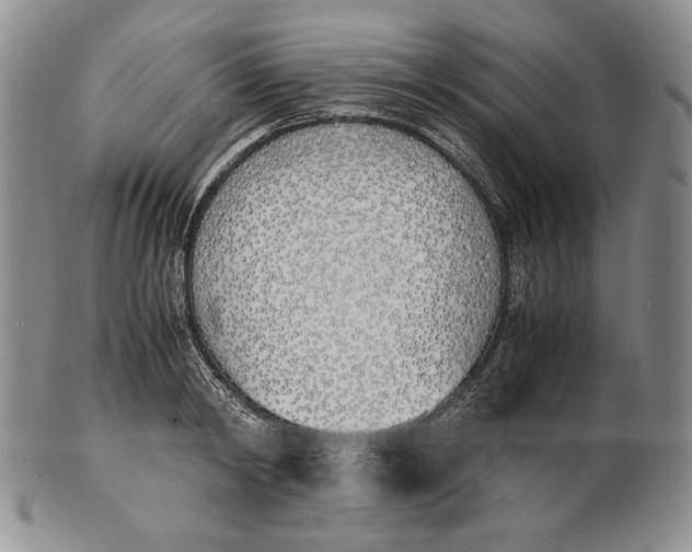 X0000100770798200807101750