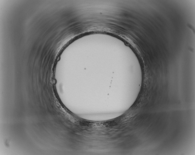 X0000100770799200807101750