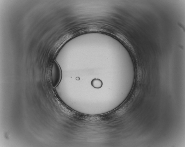 X0000100770801200807101750