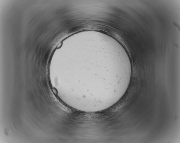 X0000100770803200807101750
