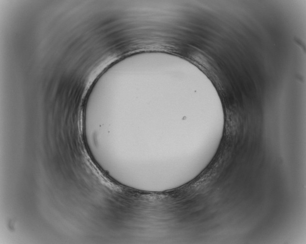 X0000100770804200807101750