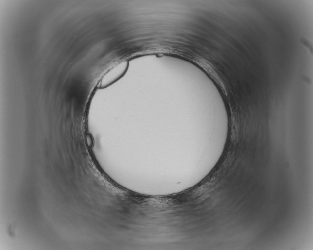 X0000100770805200807101750
