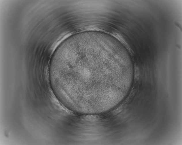 X0000100770806200807101750