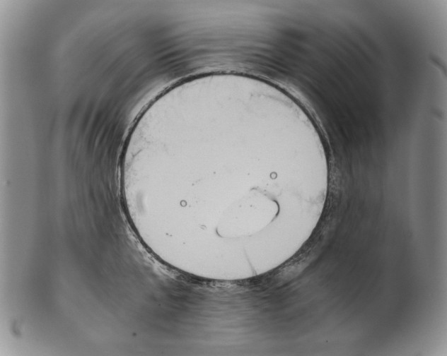 X0000100770807200807101750