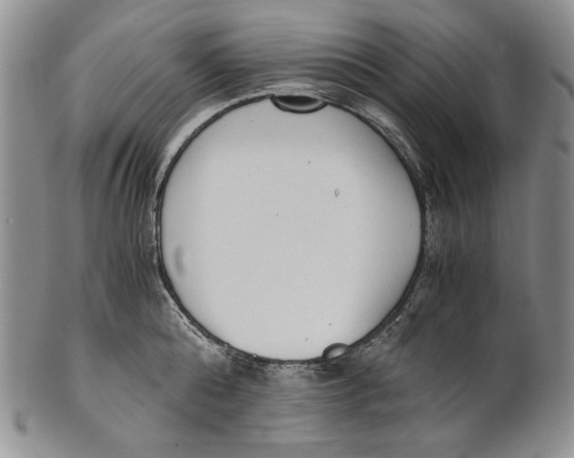 X0000100770808200807101750