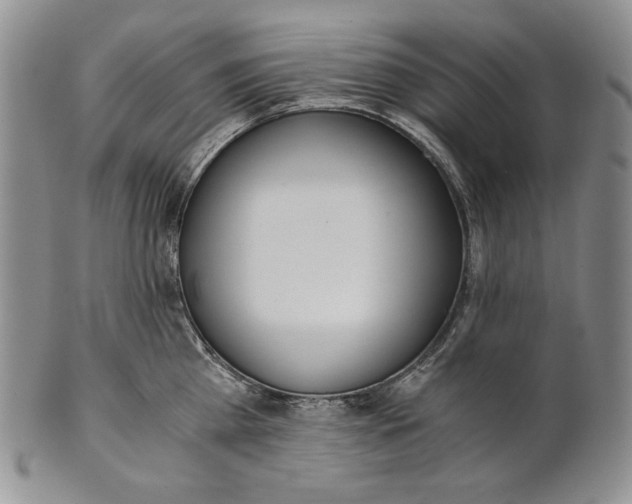 X0000100770809200807101750