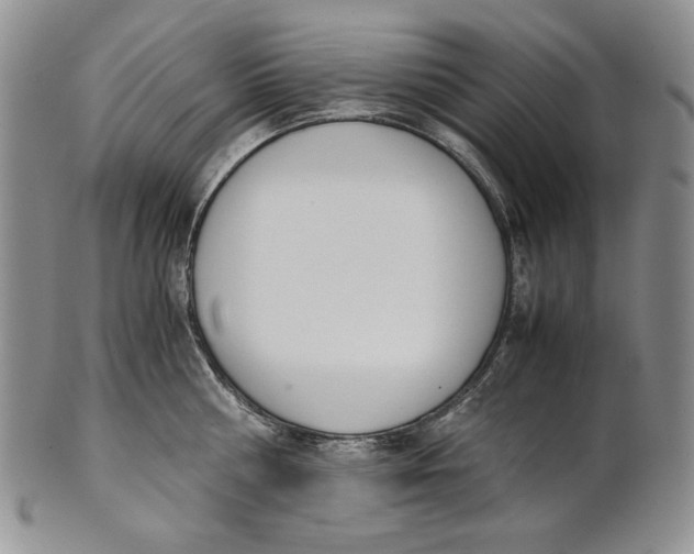 X0000100770810200807101750