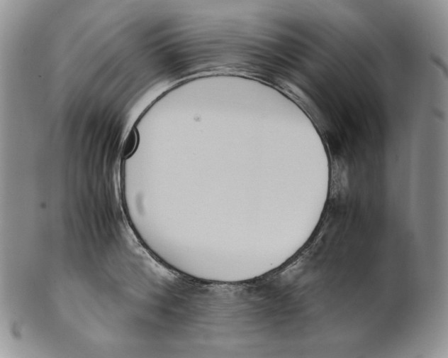 X0000100770812200807101750
