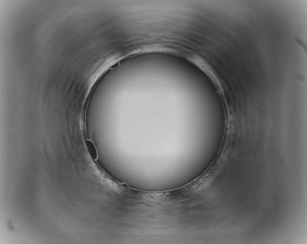 X0000100770813200807101749