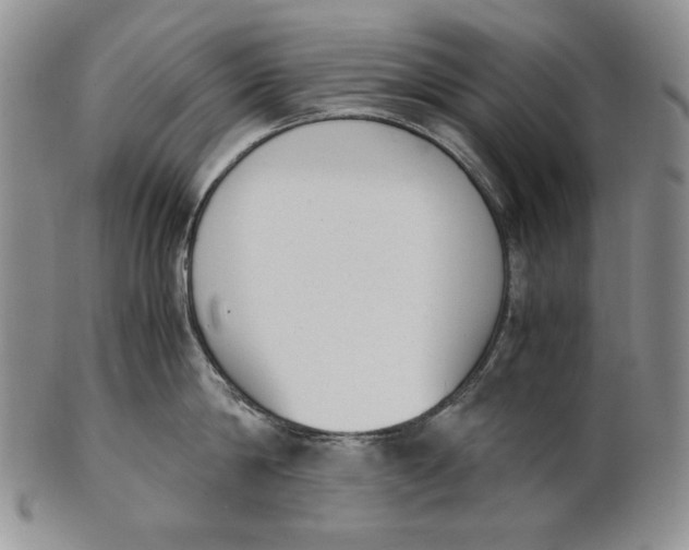 X0000100770814200807101749