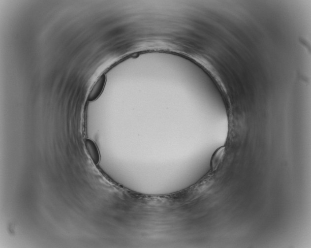 X0000100770815200807101749