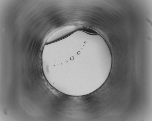 X0000100770816200807101749