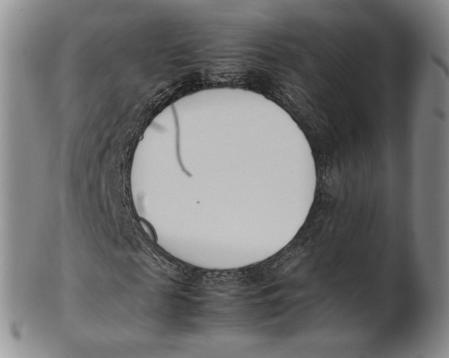 X0000100770817200807101749