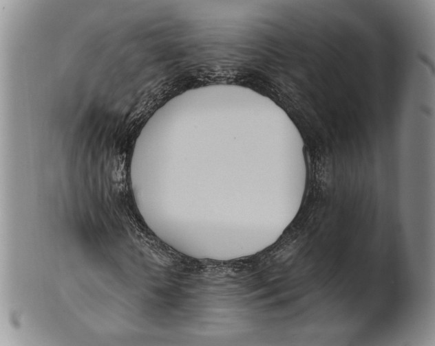 X0000100770818200807101749