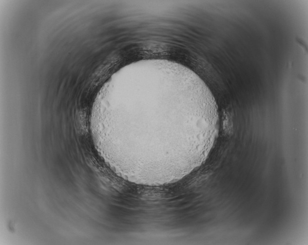 X0000100770819200807101749