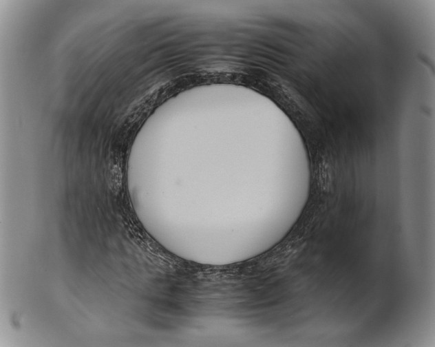 X0000100770821200807101749