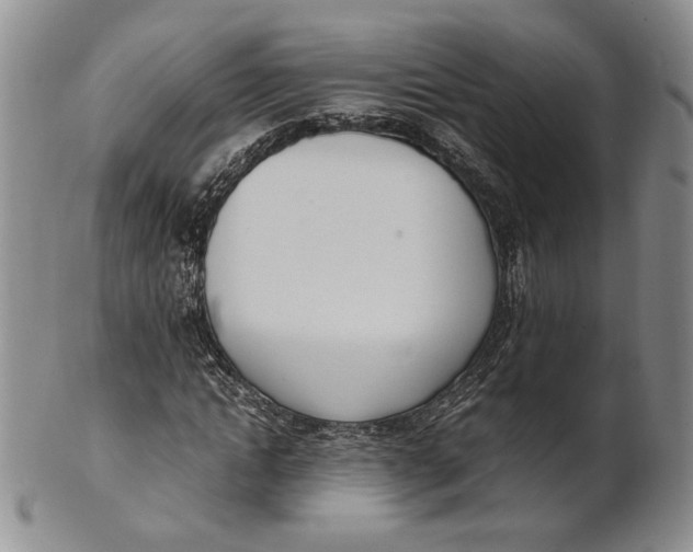 X0000100770822200807101749