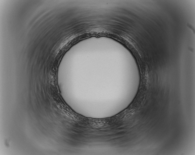 X0000100770823200807101749