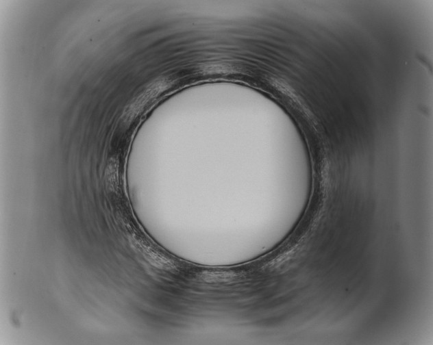 X0000100770825200807101749