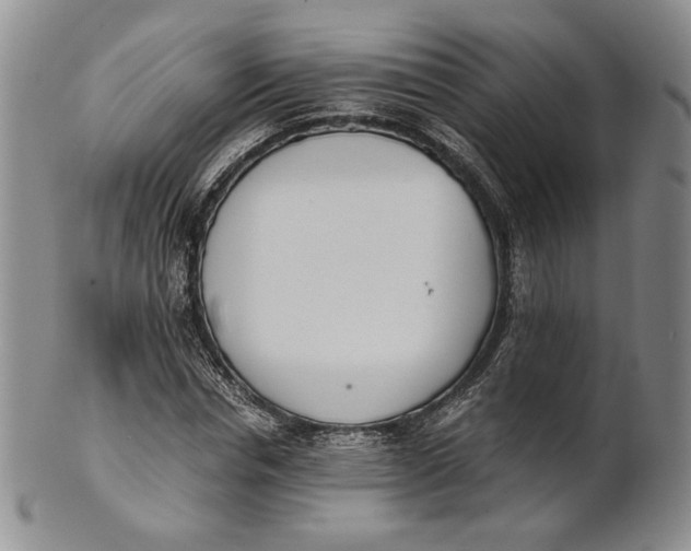 X0000100770826200807101749