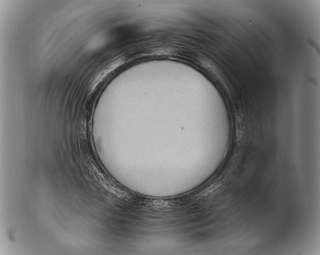 X0000100770827200807101749