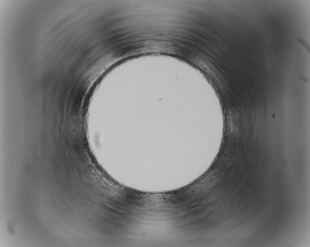 X0000100770828200807101749