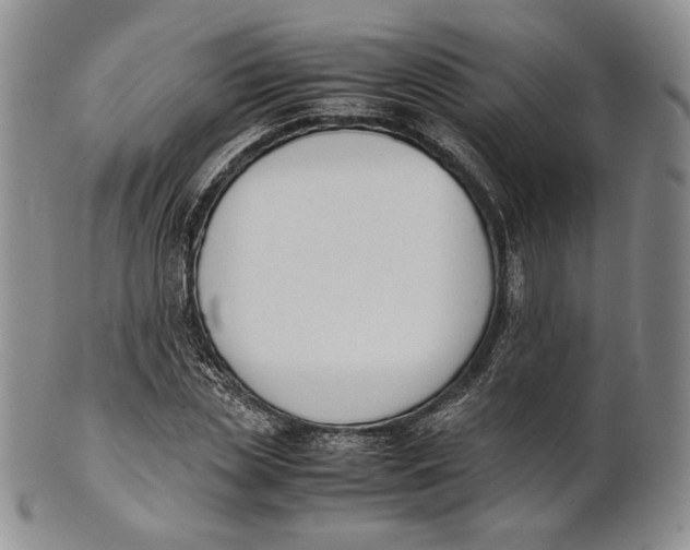 X0000100770829200807101749