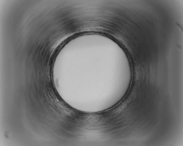 X0000100770830200807101749