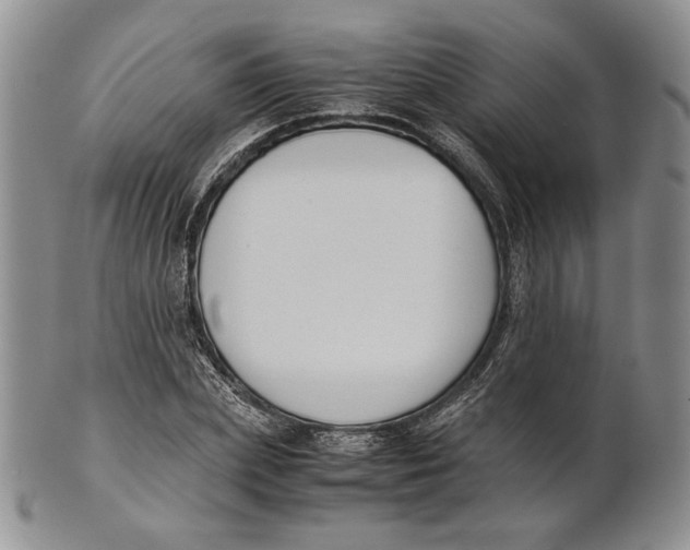 X0000100770831200807101749