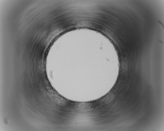 X0000100770832200807101749