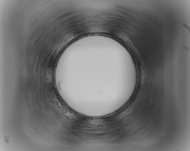 X0000100770833200807101749