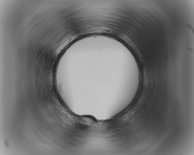 X0000100770834200807101749