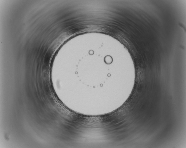 X0000100770836200807101749