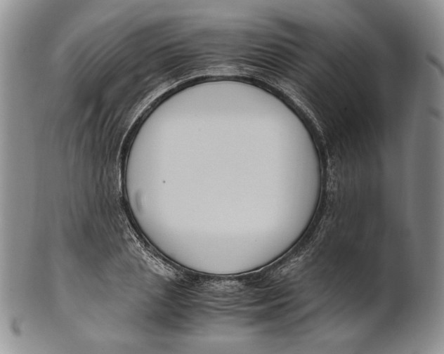 X0000100770837200807101749