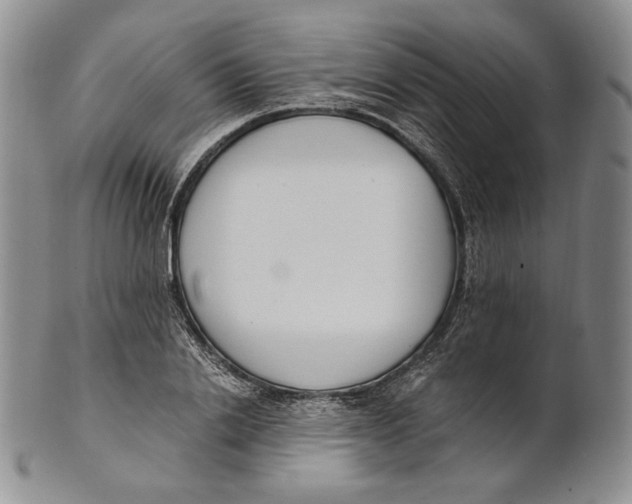 X0000100770838200807101749