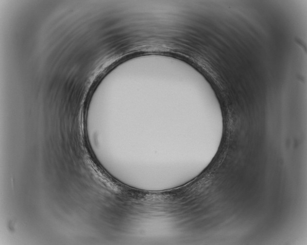 X0000100770840200807101749