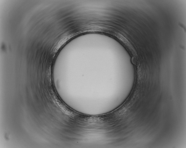 X0000100770842200807101749