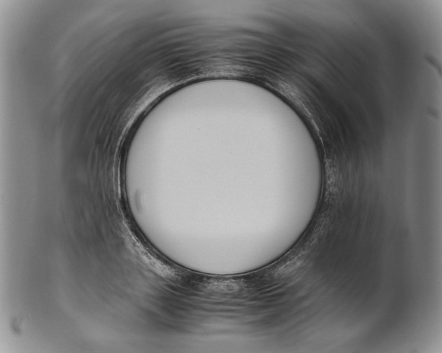 X0000100770843200807101749