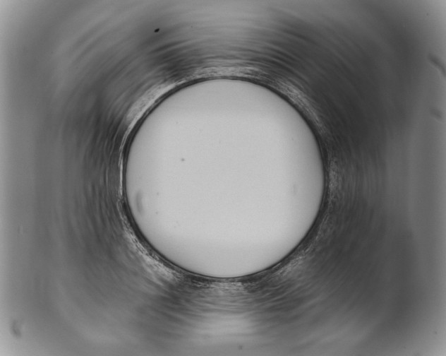 X0000100770844200807101749