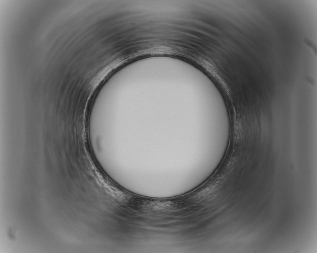 X0000100770845200807101749