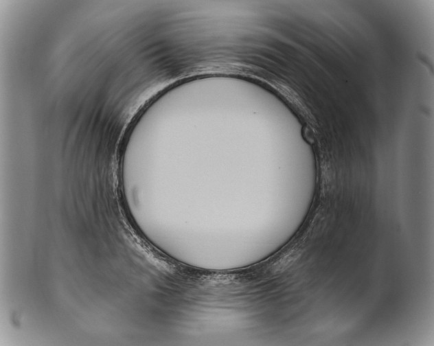 X0000100770846200807101749