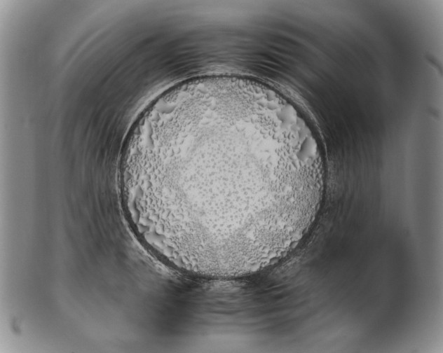 X0000100770847200807101749