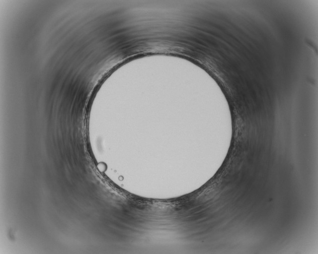 X0000100770848200807101749