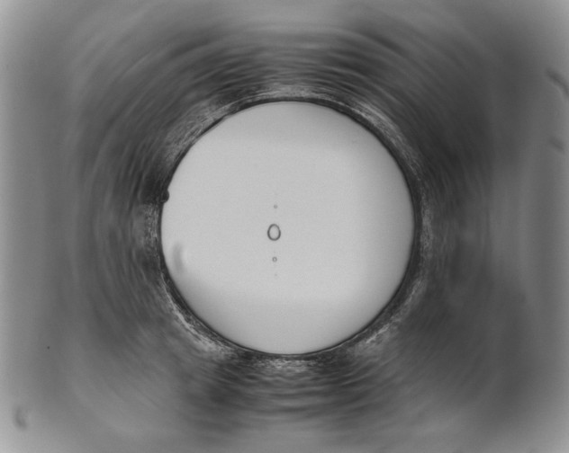 X0000100770849200807101749