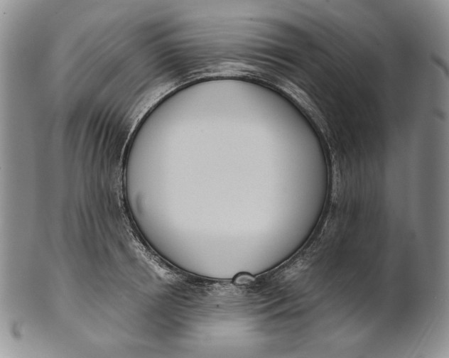 X0000100770850200807101749