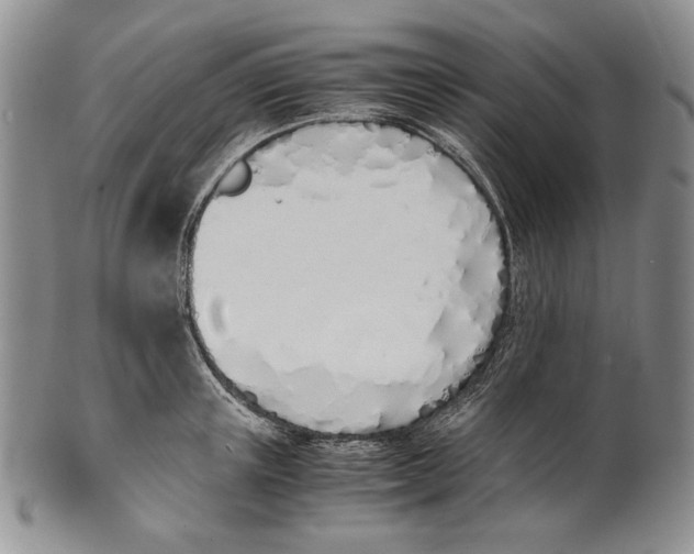 X0000100770851200807101749