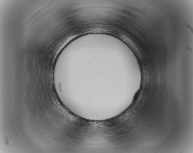 X0000100770852200807101749