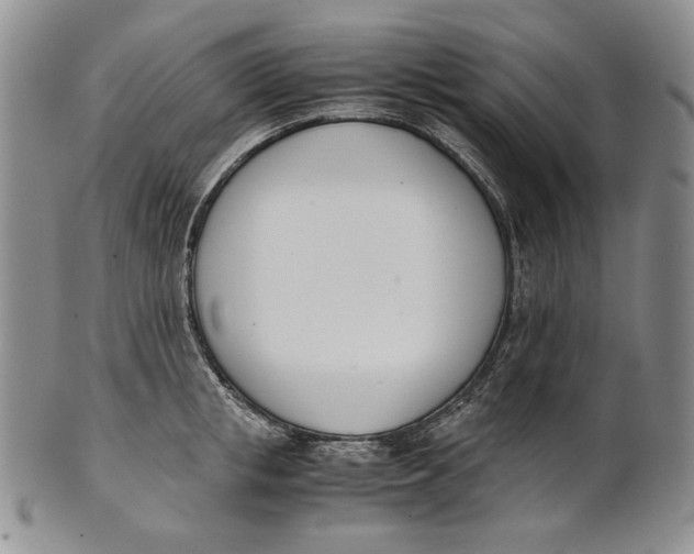 X0000100770853200807101749