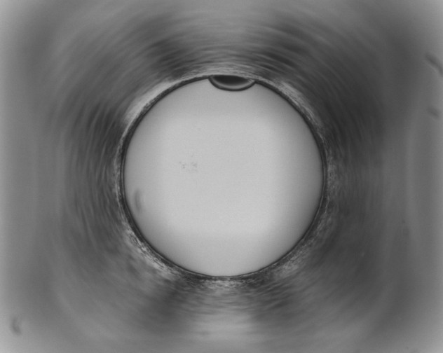 X0000100770854200807101749