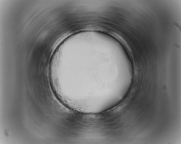 X0000100770855200807101749